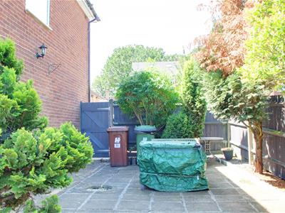 Picture 19